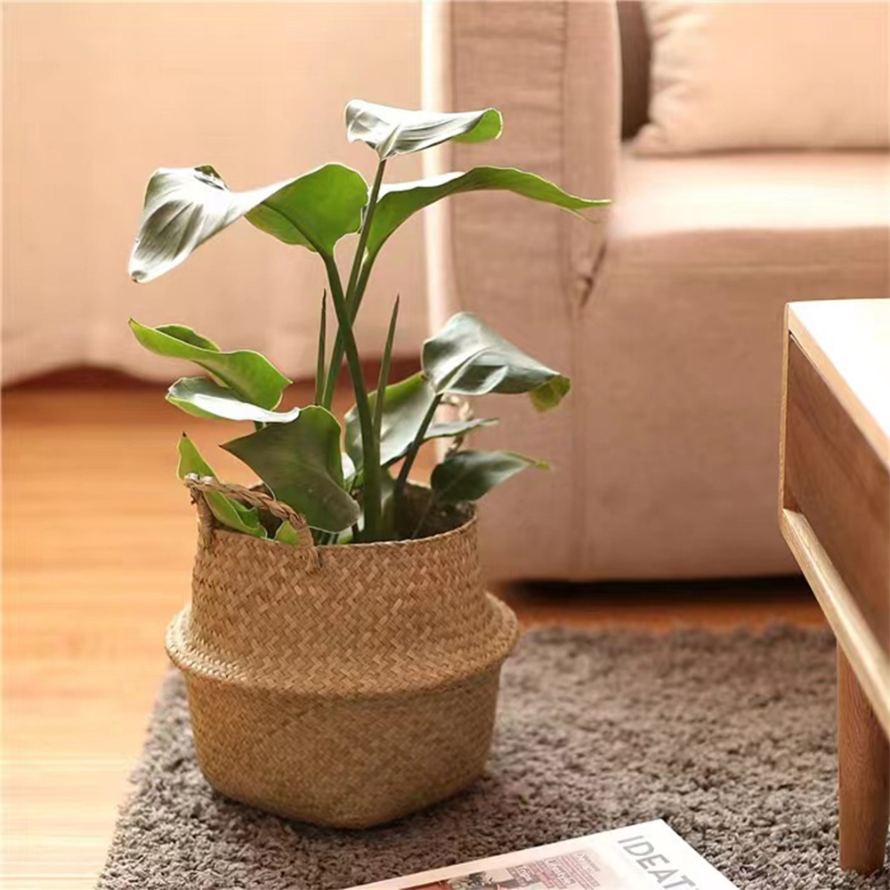 Plantenmand met handvatten Rie - Basket Bag Wicker recensie en prijs